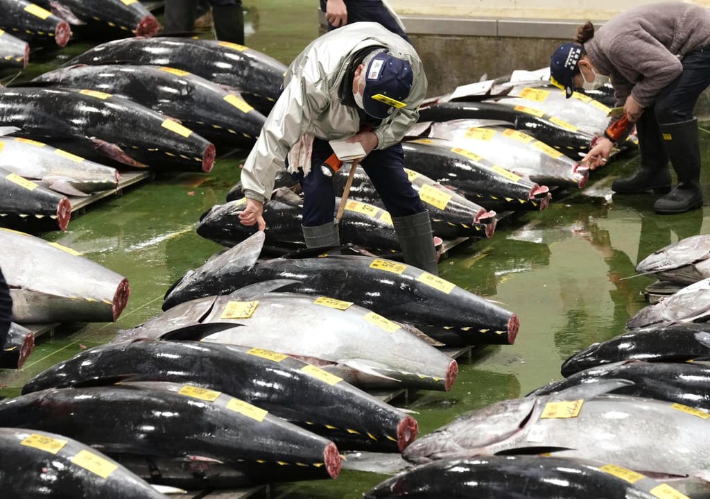 Atum vendido em leilão em Tóquio (Associated Press)