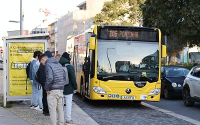 Carris Metropolitana trouxe mais 30% de oferta de autocarros na Área Metropolitana de Lisboa, afirma a TML - TVI