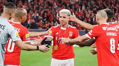 De Enzo a Vertonghen, sem esquecer Weigl: campeões à distância celebram título do Benfica - TVI