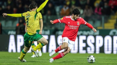 Benfica: três reforços na lista para a Liga dos Campeões - TVI