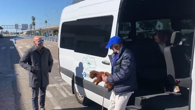 VÍDEO: Bryan Gil já está em Sevilha (e levou trela) - TVI