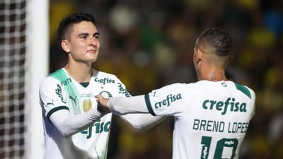 Brasil: Palmeiras, Flamengo e Bahia vencem, Luís Castro empata - TVI