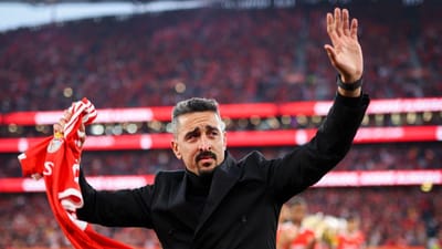 André Almeida: «Benfica? A maior mágoa foi não ter ganho a Liga Europa» - TVI