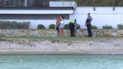 Adolescente morre em ataque de tubarão na Austrália. Tinha saltado para a água para nadar com golfinhos - TVI