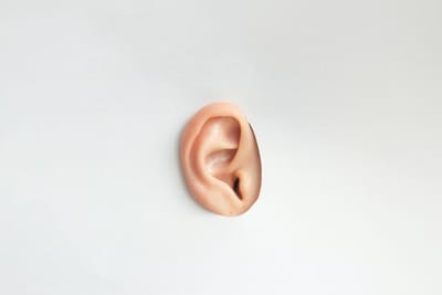 Descoberto mecanismo biológico da perda auditiva devido a ruídos altos - TVI