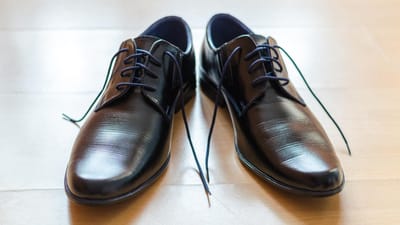 ‘Cluster’ do calçado e pele atinge máximo histórico em 2022 - TVI