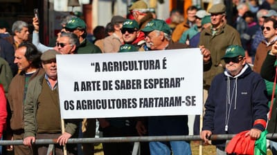 Agricultores em protesto: Governo está a "desmanchar" Ministério da Agricultura e a transformar ministra "num carrasco" - TVI