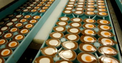 Homem roubou 200.000 ovos de chocolate de uma conhecida fábrica inglesa - TVI