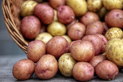 Andámos a guardar as batatas de forma errada até agora. Cientistas mudam recomendações - TVI