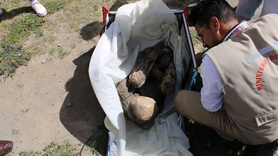 A estranha história de uma múmia masculina com 800 anos que se transformou na "namorada espiritual" de um peruano - TVI