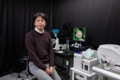 "Fascinante, provocador": cientistas japoneses criaram óvulos a partir de células masculinas - TVI