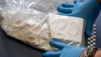 Produção de cocaína bate recorde de 2,7 mil toneladas em 2022 - TVI
