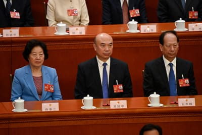Quem é Shi Taifeng, o influente pensador que está por detrás das políticas de Xi Jinping - TVI