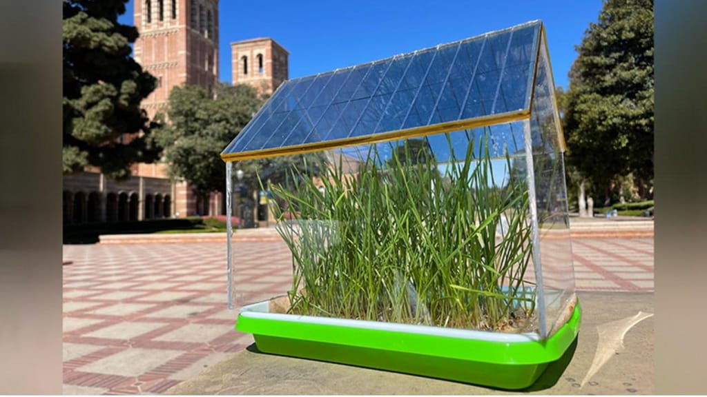 Estufa com painéis solares (foto: Yang Yang Laboratory/UCLA)
