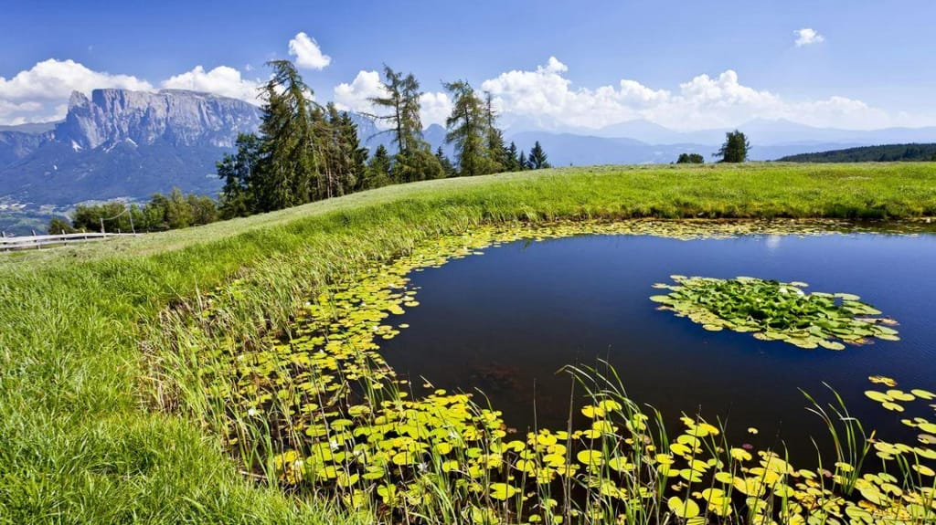 Trentino-Alto Adige é conhecida pelas suas paisagens deslumbrantes das Dolomitas. Martin Braito/imageBROKER/Shutterstock