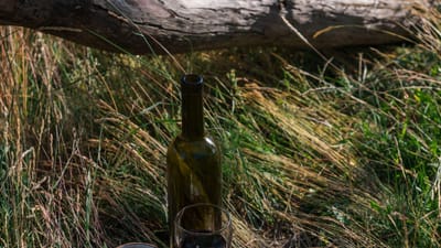 Australiana sobrevive cinco dias na floresta à base de doces e vinho. "Pensei que ia morrer ali" - TVI