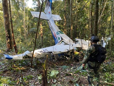 Quatro crianças continuam desaparecidas na selva colombiana. Uma desgraça que é apenas a última de uma longa lista de acidentes aéreos na Amazónia - TVI