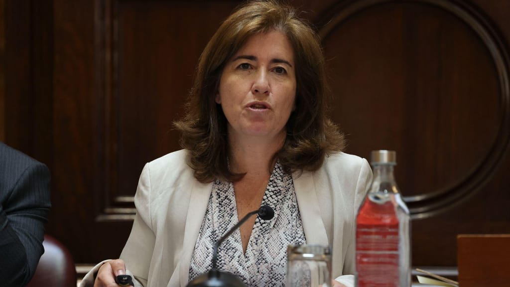 Parlamento: audição da ministra Ana Mendes Godinho na Comissão de Trabalho e Segurança Social (Lusa)