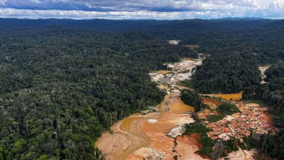 Crime organizado está a transformar a Amazónia num "Rio de Janeiro do tamanho de um continente numa selva extraordinariamente difícil" - TVI