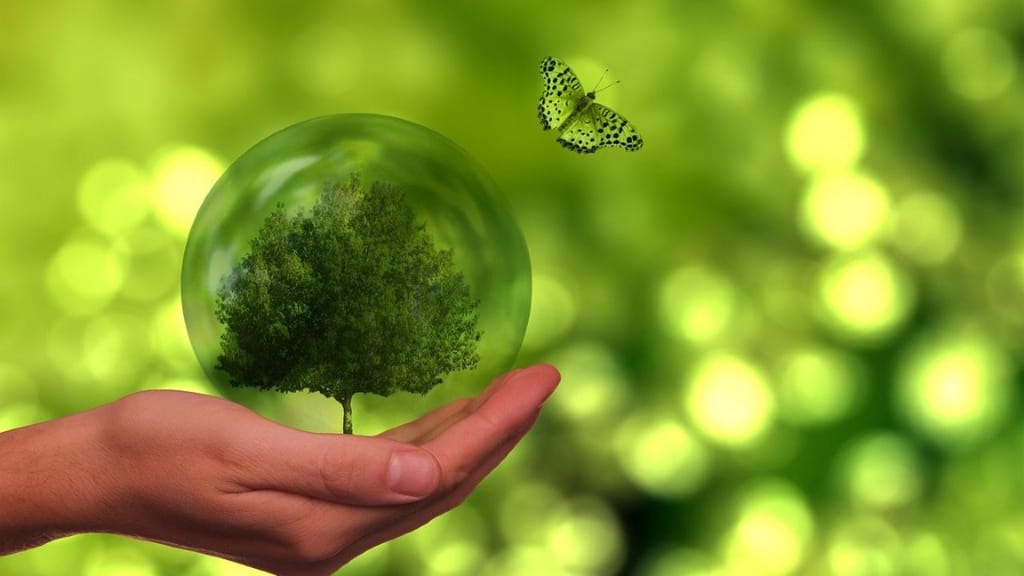 Sustentabilidade (foto: Geralt/Pixabay)