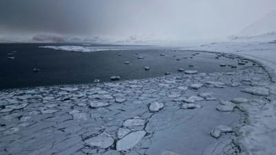 O Ártico está prestes a ficar "gravemente doente" - TVI