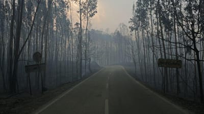 Incêndios: Presidente visitou memorial às vítimas dos fogos de Pedrógão - TVI