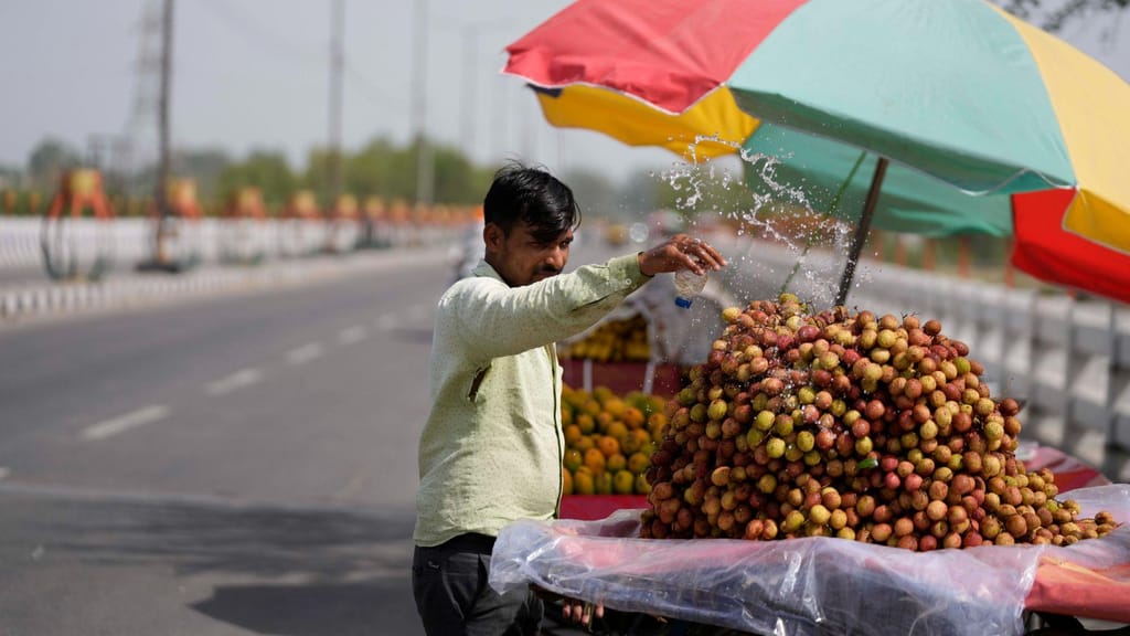 Onda de calor na Índia (AP Photo/Channi Anand)