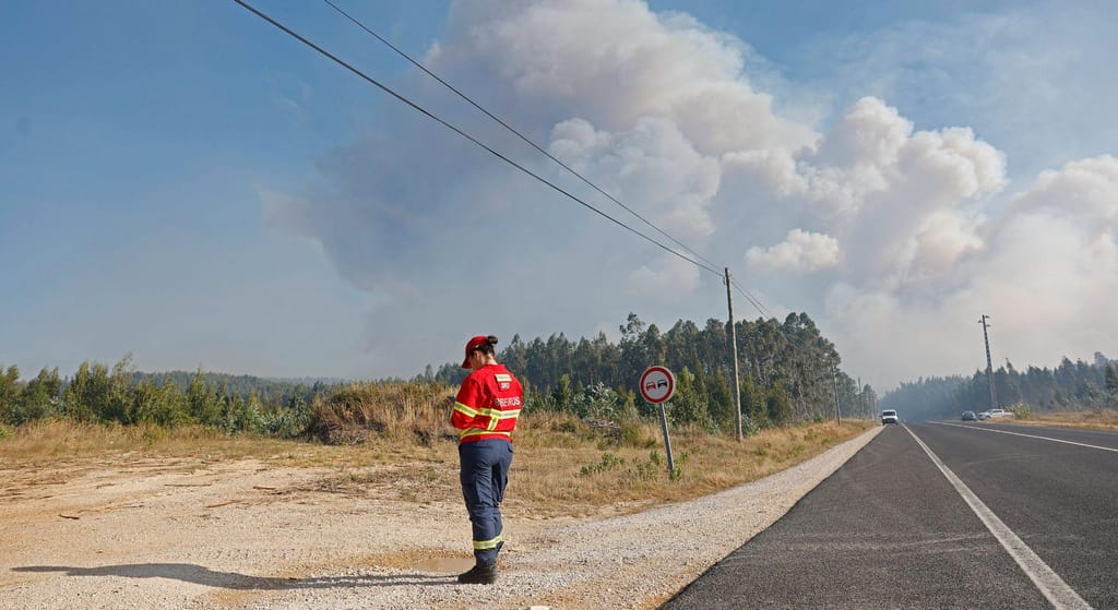 Incêndio na Serra do Montejunto (Lusa/ António Pedro Santos)