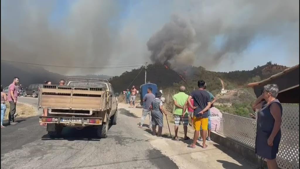 Incêndio em Odemira ameaça habitações. Bombeiros combate chamas em São Teotónio