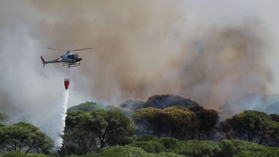 UE compra 12 aviões de combate a incêndios a entregar em 2027, incluindo em Portugal - TVI