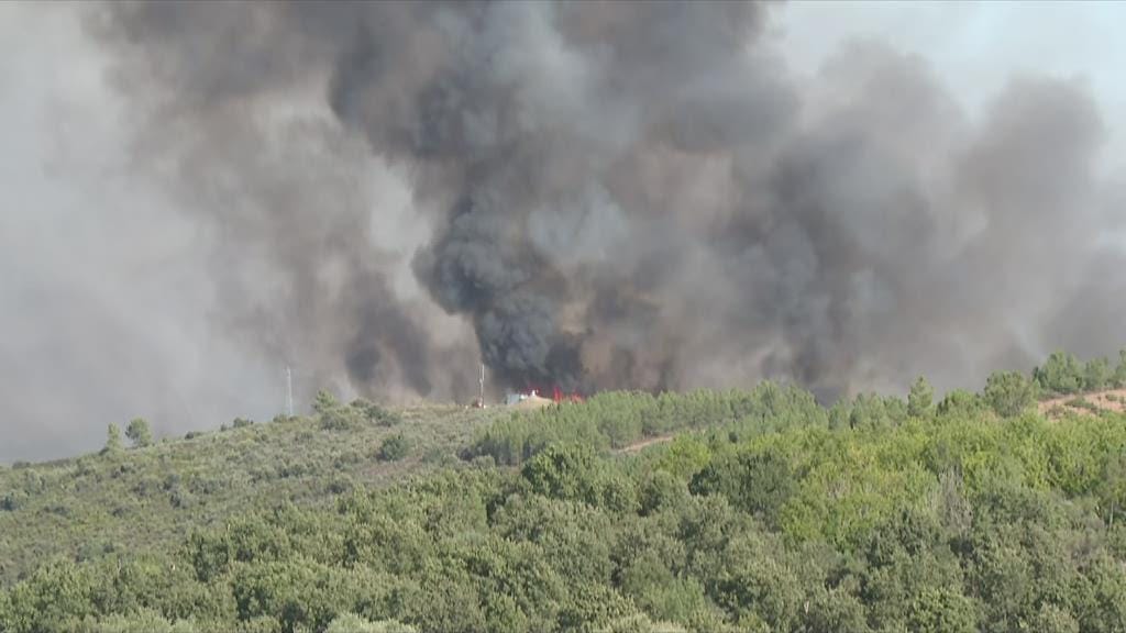 Incêndio em Argozelo "tem novamente duas frentes ativas". Haverá oito meios aéreos espanhóis no combate às chamas 