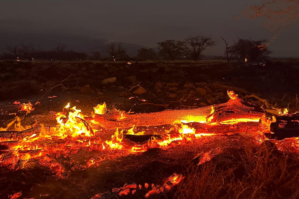 Incêndio no Havai (Associated Press)