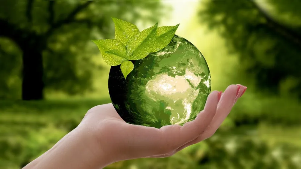 Quer tornar a sua empresa mais sustentável? 4 mudanças que ainda pode fazer este ano.