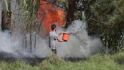 Madeira: fogo no Porto Moniz perdeu intensidade mas não está controlado, zona florestal na Calheta continua a arder - TVI