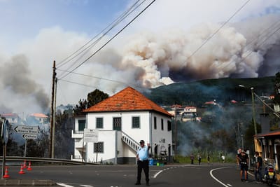 Quatro pessoas desalojadas e duas casas destruídas devido aos incêndios na Madeira - TVI