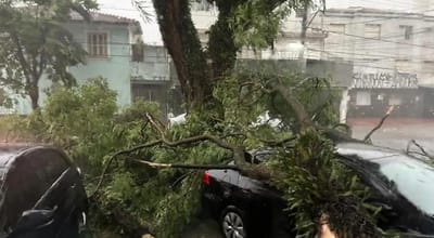 Fortes chuvas no estado brasileiro de São Paulo fazem pelo menos três mortos - TVI