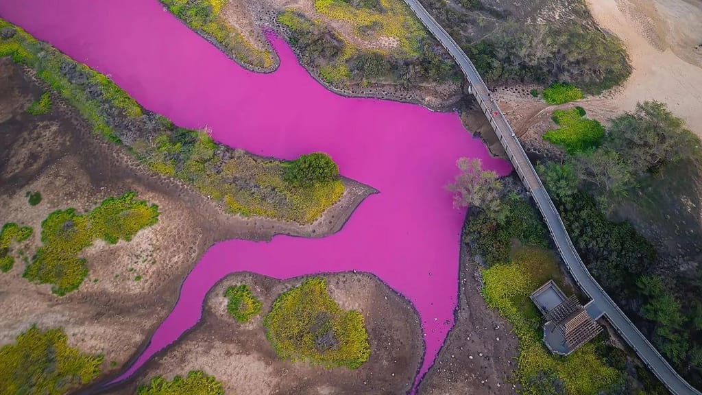Lago no Havai cor-de-rosa