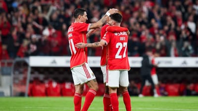 VÍDEO: Rafa marca e Benfica chega ao empate contra o Farense - TVI