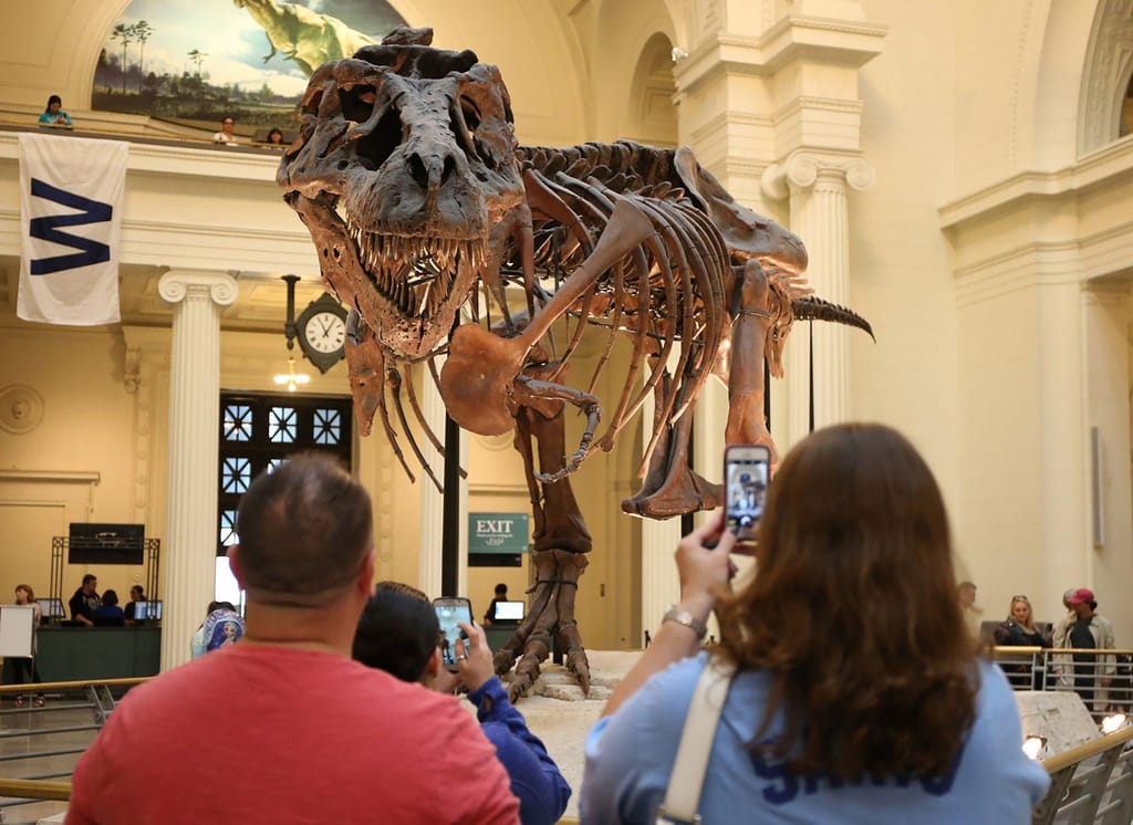 Sue, a T. rex, faz uma pose no Museu Field de História Natural de Chicago. A maioria dos dinossauros desapareceu há 66 milhões de anos, num evento de extinção em massa causado por um asteroide que embateu na Terra (CNN)