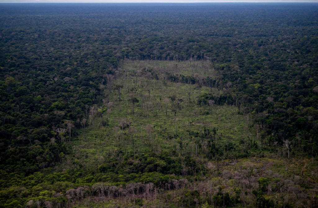 A desflorestação da floresta amazónica diminuiu 22,3% nos últimos 12 meses até julho (Mauro Pimentel/AFP/Getty Images)