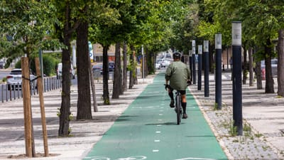 Portugal tem de “pedalar” mais de 3.000 quilómetros para concretizar estratégia das ciclovias - TVI
