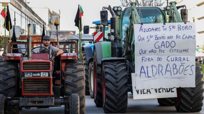 Acessos à A1 e A29 em Estarreja cortados devido aos protestos - TVI
