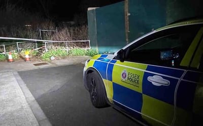 Cães abatidos e um homem detido: mulher morre após ser atacada pelos animais em Inglaterra - TVI