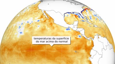 O "Super El Niño" já atingiu o pico, segue-se La Niña. O tempo que podemos esperar nos próximos meses - TVI