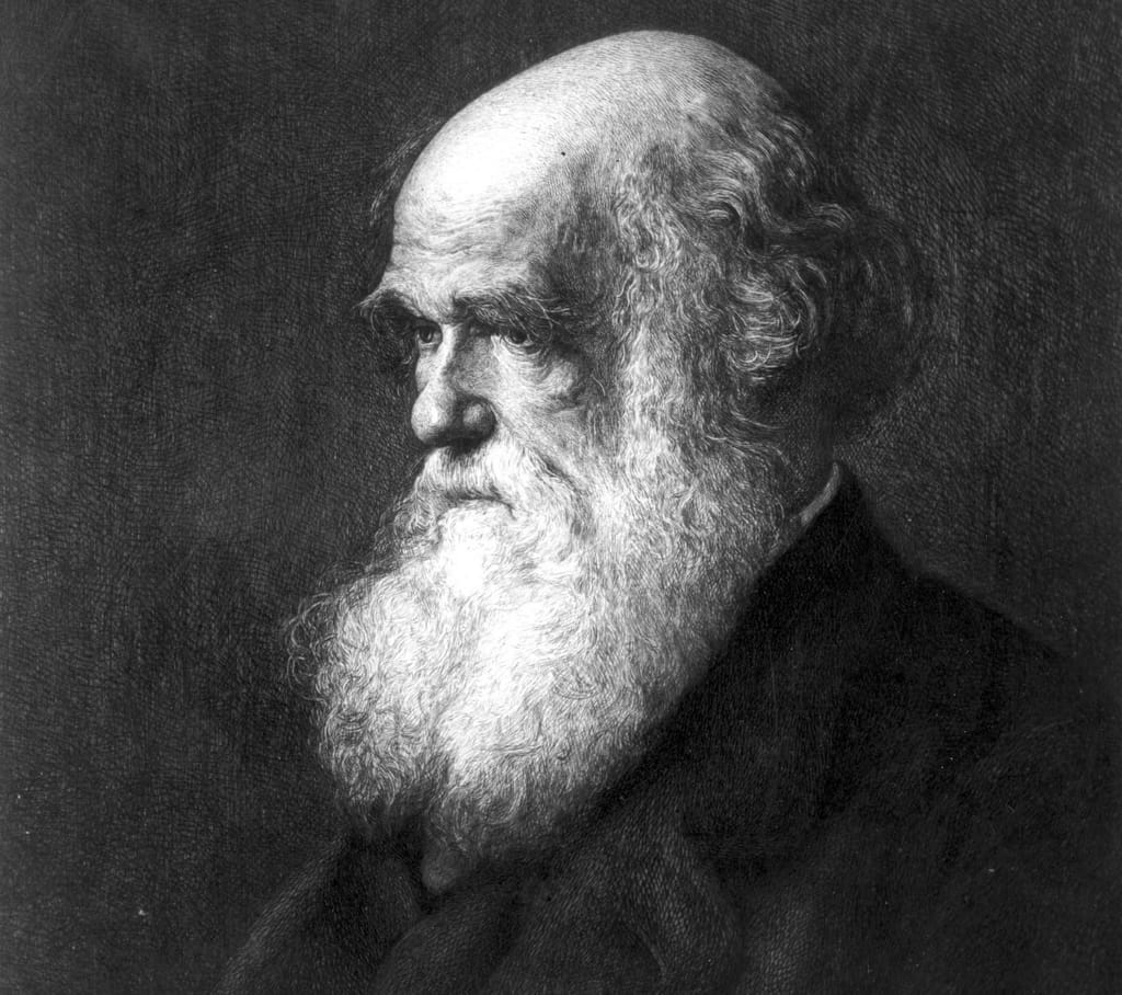 Charles Darwin retratado por volta de 1880 numa pintura de Walter William Ouless. Rischgitz/Hulton Archive/Getty Images