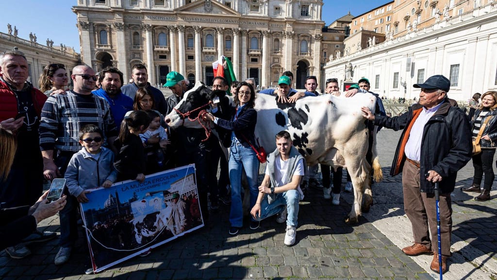Agricultores levam vaca ao Vaticano (Massimo Percossi/EPA)
