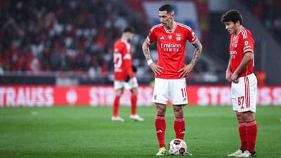 Benfica: a contas com um hematoma, João Neves não treinou - TVI