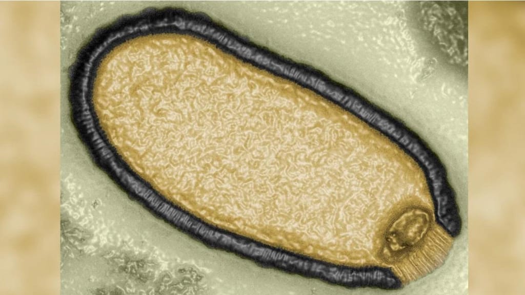 Vírus antigo do pergelissolo isolado por cientistas 