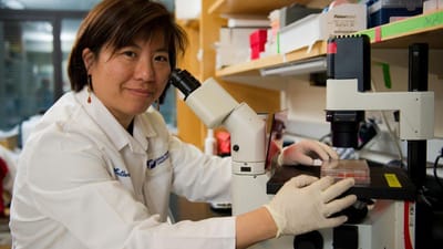 "Uma descoberta fantástica" rumo a uma nova vacina contra o cancro: é preciso conhecer Catherine Wu - TVI