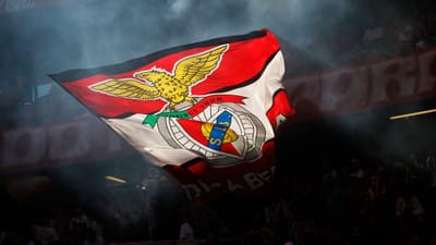 Benfica: SAD emite empréstimo obrigacionista de 35 milhões de euros - TVI